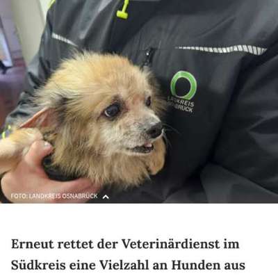 Was hat euch heute genervt?-Beitrag-Bild