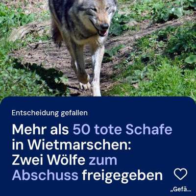 Was hat euch heute genervt?-Beitrag-Bild
