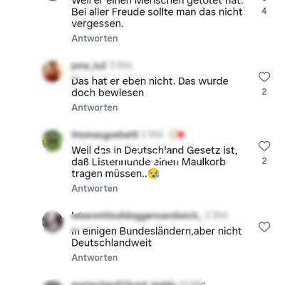 Der Fall "Sam" - Angriff oder missglückter Rettungsversuch?-Beitrag-Bild