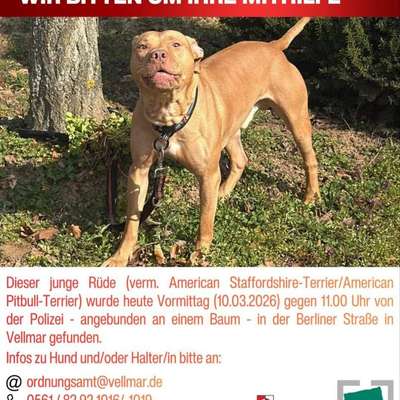 Was hat euch heute genervt?-Beitrag-Bild