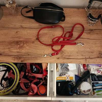 Zeigt her eure Gassi-Stationen =)-Beitrag-Bild