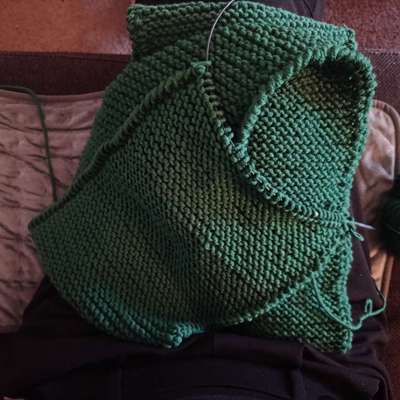 Was hat euch heute gefreut?-Beitrag-Bild