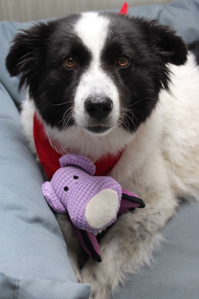 Lieblingsbild :D-Beitrag-Bild