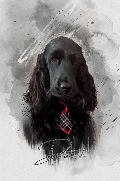Cocker Spaniel-Beitrag-Bild