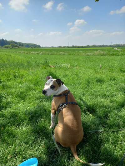 Fotowettbewerb Natur-Beitrag-Bild