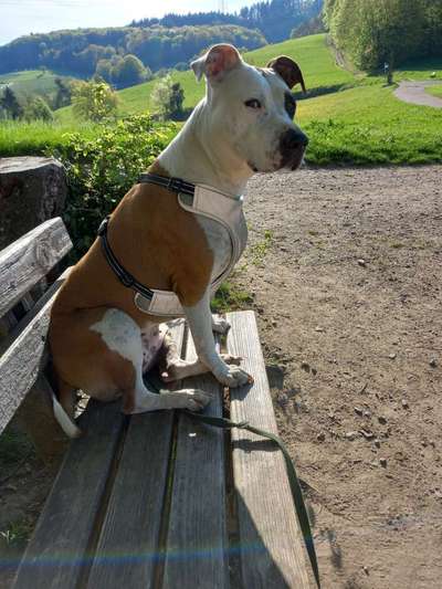 Fotowettbewerb Natur-Beitrag-Bild