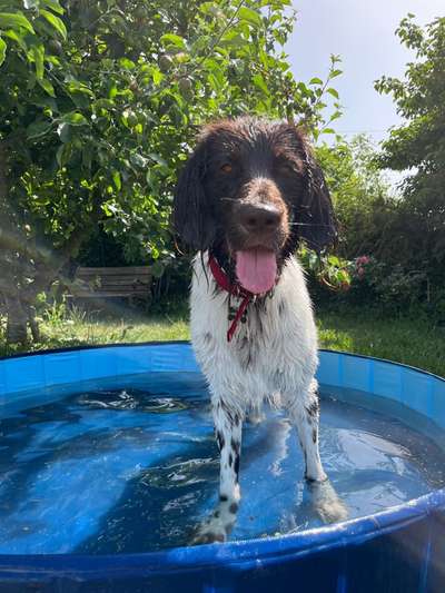 Handyfoto challenge Nr. 13: Waschlappen raus!-Beitrag-Bild