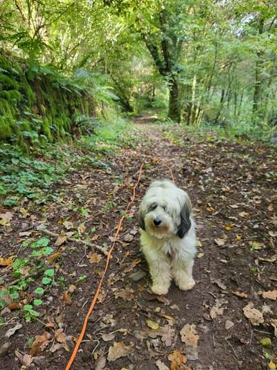 Was hat euch heute genervt?-Beitrag-Bild