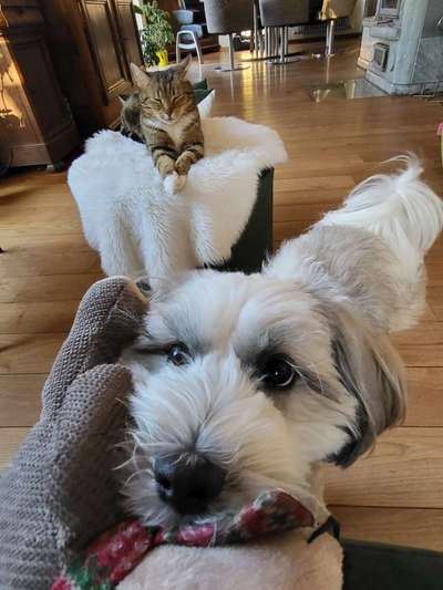 154. FotoChallenge * AUFS BILD GEMOGELT *-Beitrag-Bild