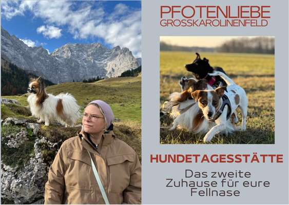 Hundepensionen-Pfotenliebe Hundebetreuung-Bild