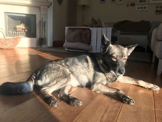 Trick Challange Nr 3-Beitrag-Bild