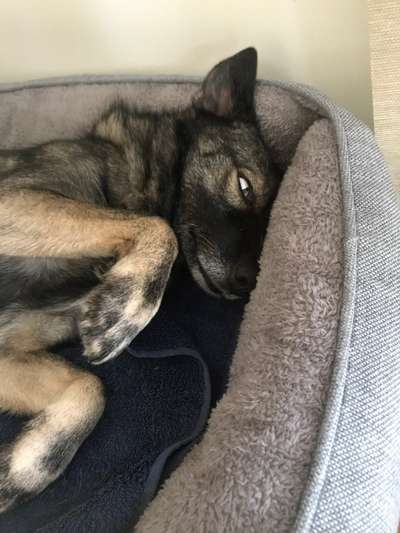 Lieblingsbild-Beitrag-Bild