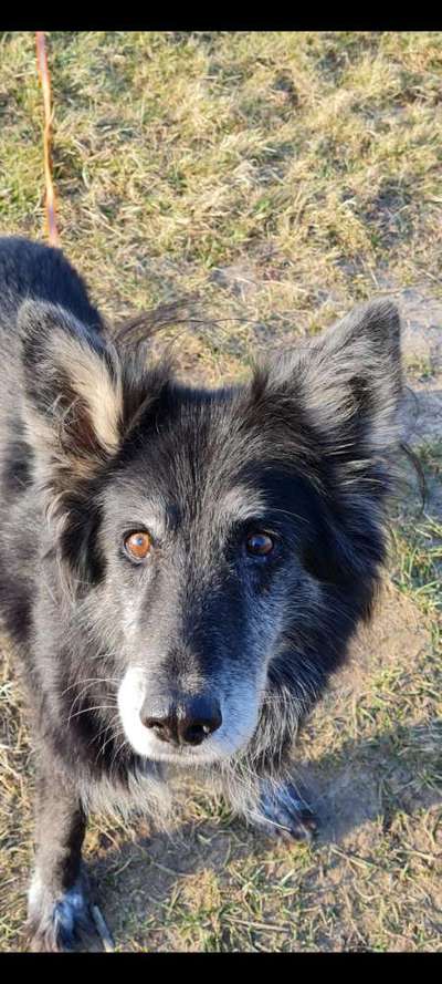 150. Foto Challaenge:  Die Augen, der Spiegel der Seele-Beitrag-Bild