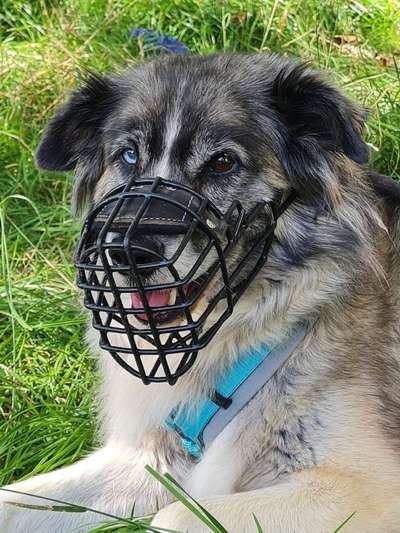 Zeigt eure Portraits-Beitrag-Bild