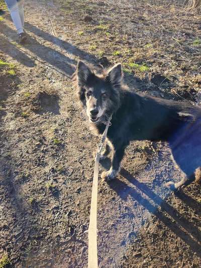 Fotochallenge Glanzbilder,du glänzt so schön-Beitrag-Bild