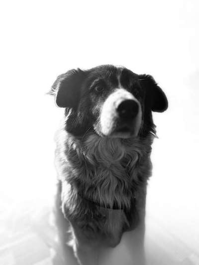 3. Farben/Fotochallenge: Schwarz/Weiß-Beitrag-Bild