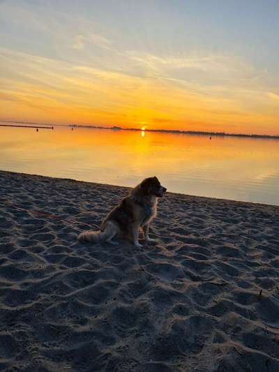 18. Farben Fotochallenge: Sonnenuntergang-Beitrag-Bild