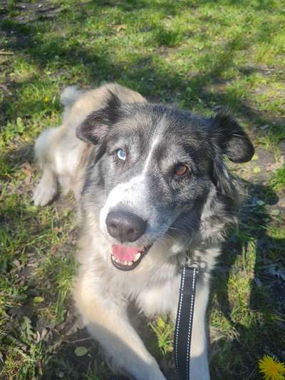 Dogorama Photo Challenge - Details Ganz nah-Beitrag-Bild