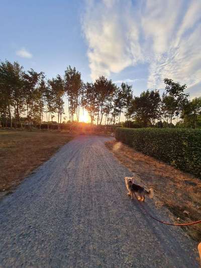 18. Farben Fotochallenge: Sonnenuntergang-Beitrag-Bild