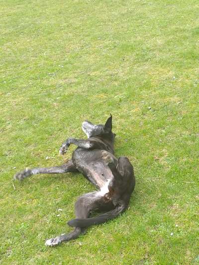 Foto Challenge - Zeigt her eure Bäuche-Beitrag-Bild