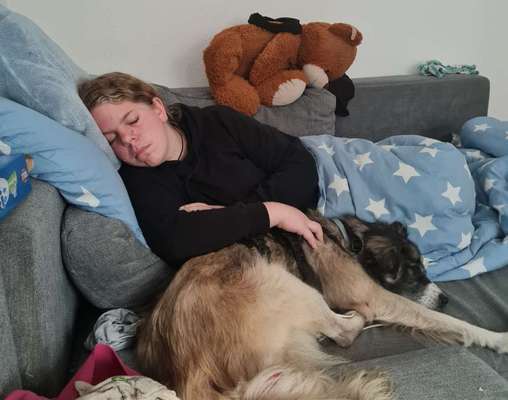 Dogorama Photo Challenge - Liebesbeweis-Beitrag-Bild