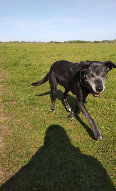 Fotochallenge Glanzbilder,du glänzt so schön-Beitrag-Bild