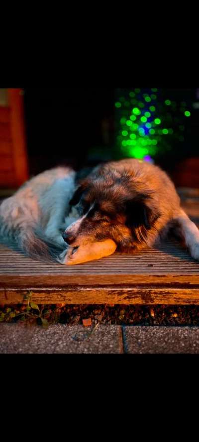 Häufige Vorurteile-Beitrag-Bild