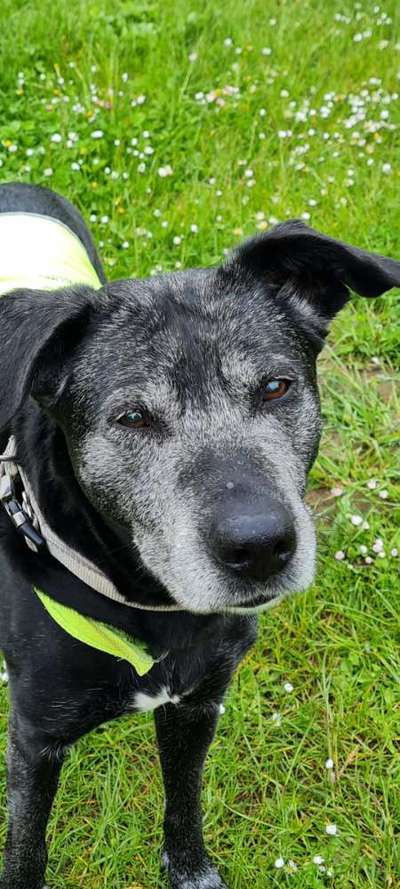 150. Foto Challaenge:  Die Augen, der Spiegel der Seele-Beitrag-Bild