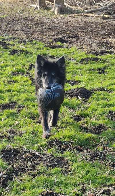 138. Fotochallenge 

(M)Ein Ball und ich-Beitrag-Bild