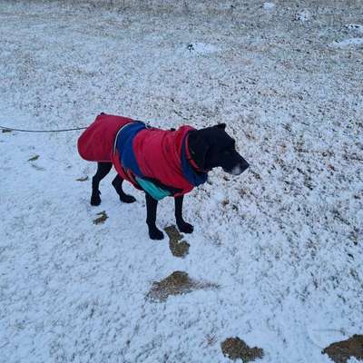 Welche Mäntel empfehlt ihr?-Beitrag-Bild