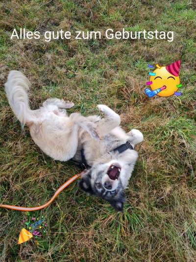 Foto Challenge - Zeigt her eure Bäuche-Beitrag-Bild