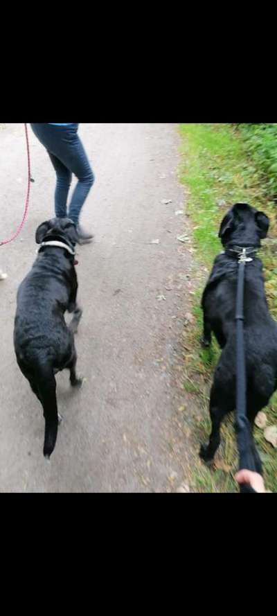 Fotochallenge 130-Beitrag-Bild