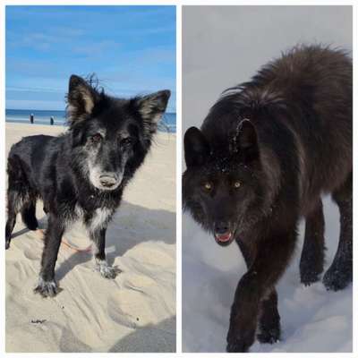 Fotochallenge 130-Beitrag-Bild