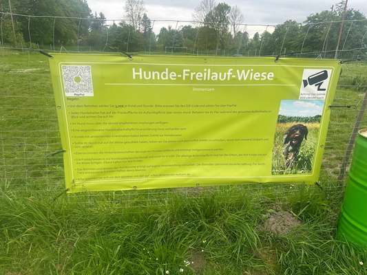 Hundeauslaufgebiet-Hunde-Freilauf-Wiese Immensen-Bild