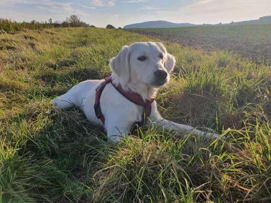 Fotochallange Nr. 57     PORTRÄT.   Beendet!!!!!!!!-Beitrag-Bild