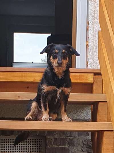 Fotochallange Nr. 57     PORTRÄT.   Beendet!!!!!!!!-Beitrag-Bild