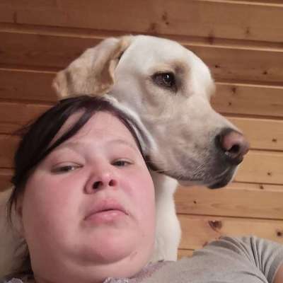 Hundetreffen-Treffen zum Spielen