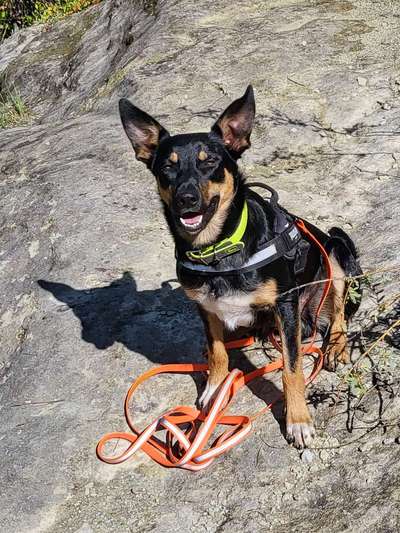 Zeigt eure Portraits-Beitrag-Bild