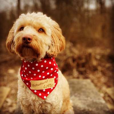 12. Farben Foto Challenge --- Braun-Beitrag-Bild