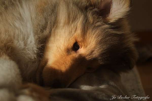 Challenge Nr. 10: "Das schönste Lächeln"-Beitrag-Bild