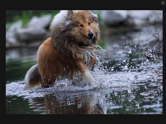 Fotochallenge 37- Sommerfeeling-Beitrag-Bild