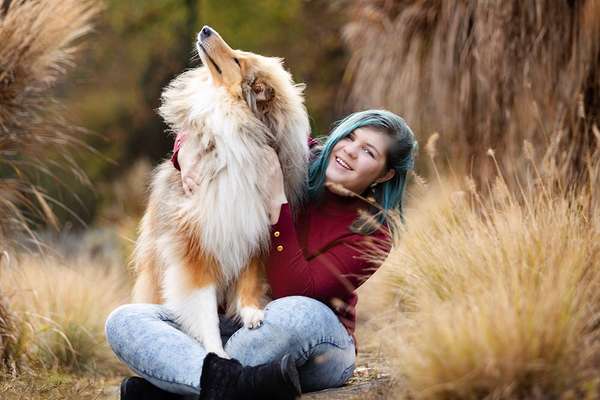 Collies gesucht-Beitrag-Bild