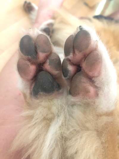 Blick fürs Detail!-Beitrag-Bild