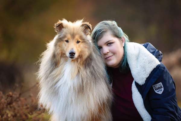 Collies gesucht-Beitrag-Bild