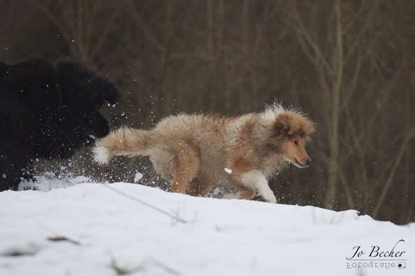 Challenge Nr. 15
Spiel im Schnee-Beitrag-Bild