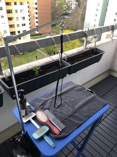 Zeig mir, dass du mit einem hund zusammenlebst....-Beitrag-Bild