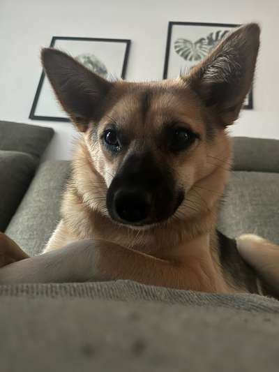 23. Handy Foto-Challenge-Beitrag-Bild