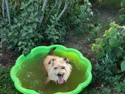 Handyfoto challenge Nr. 13: Waschlappen raus!-Beitrag-Bild