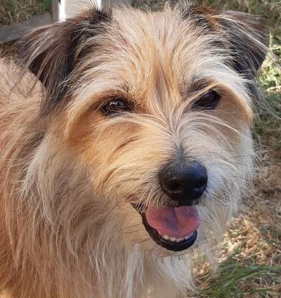 Zeigt eure Portraits-Beitrag-Bild