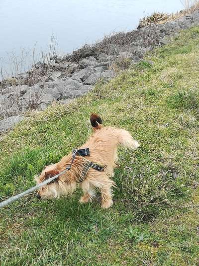 Doppelgänger gesucht !-Beitrag-Bild